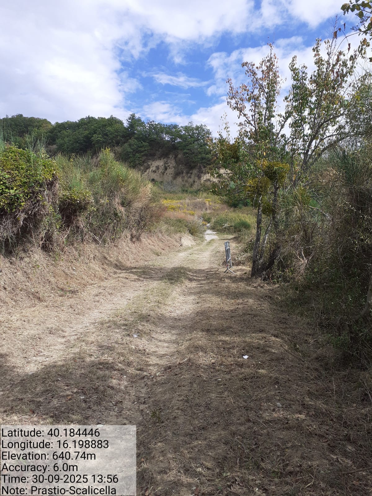 Galleria Fotografica Immagine