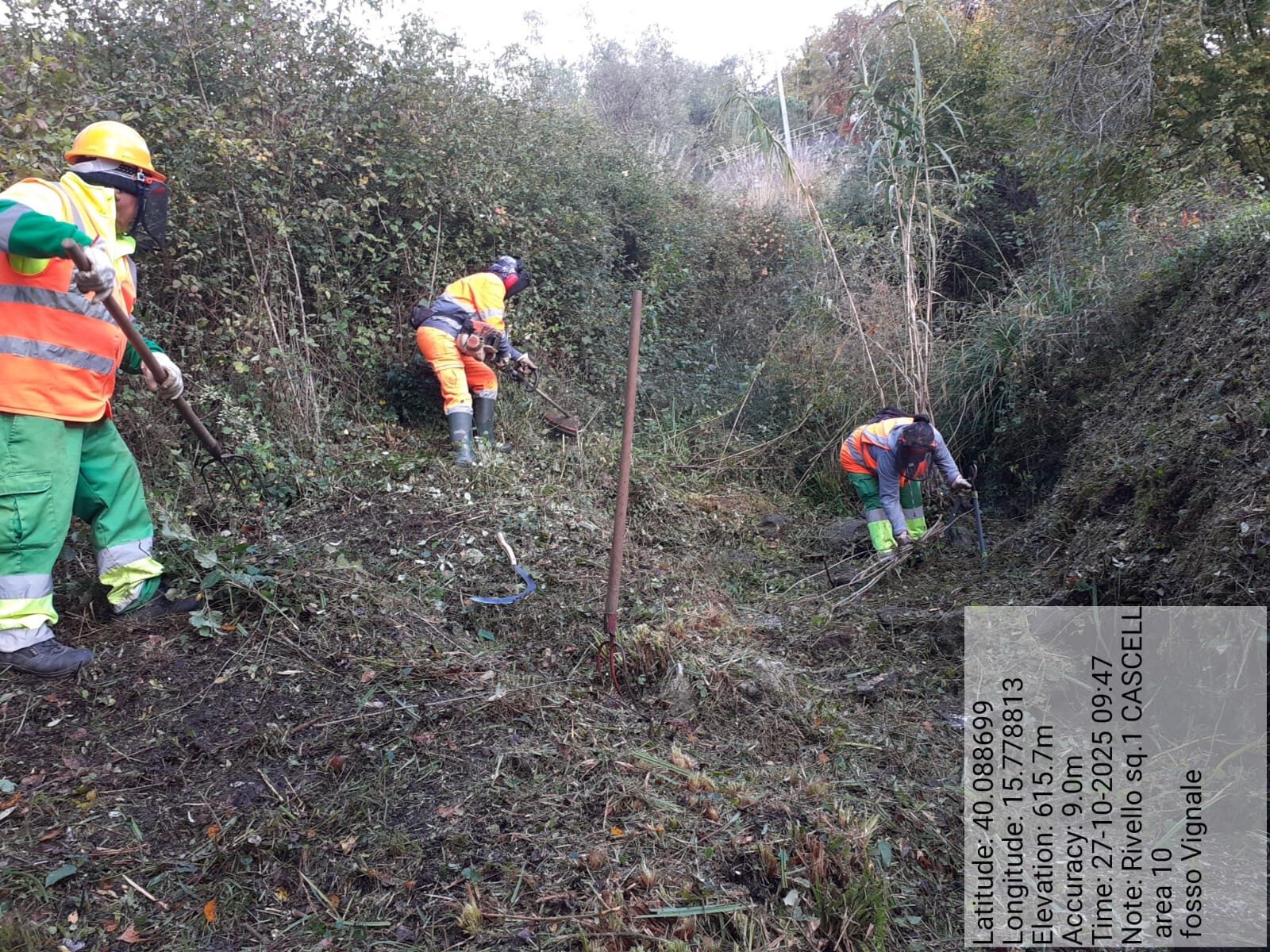 Galleria Fotografica Immagine