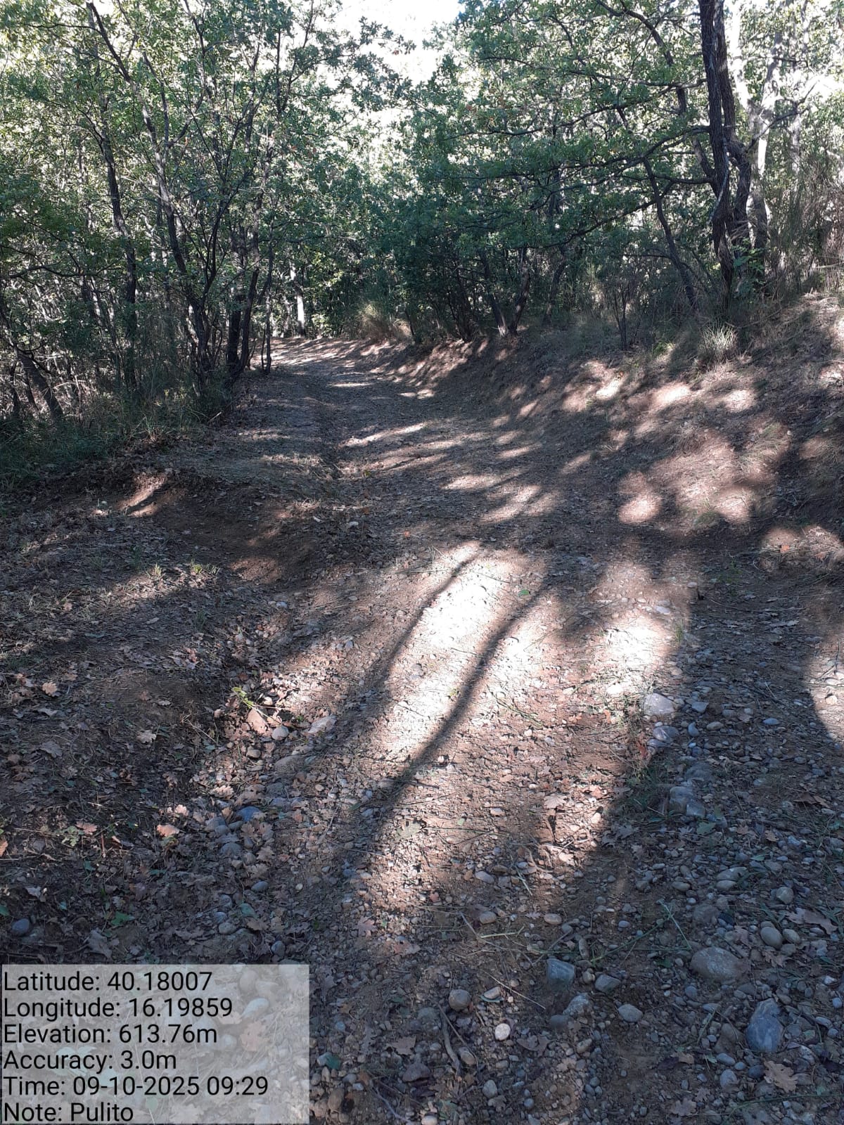 Galleria Fotografica Immagine