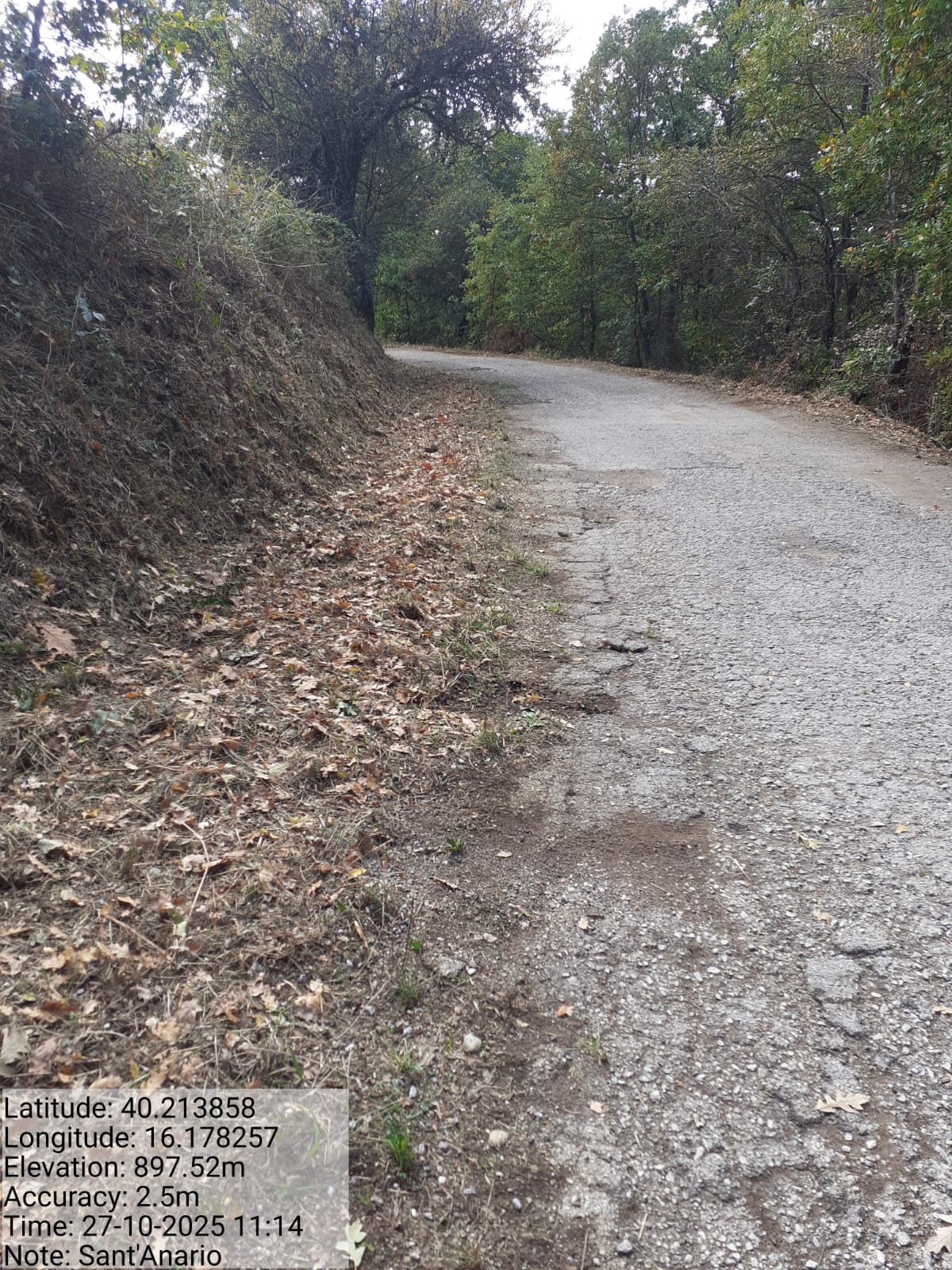 Galleria Fotografica Immagine