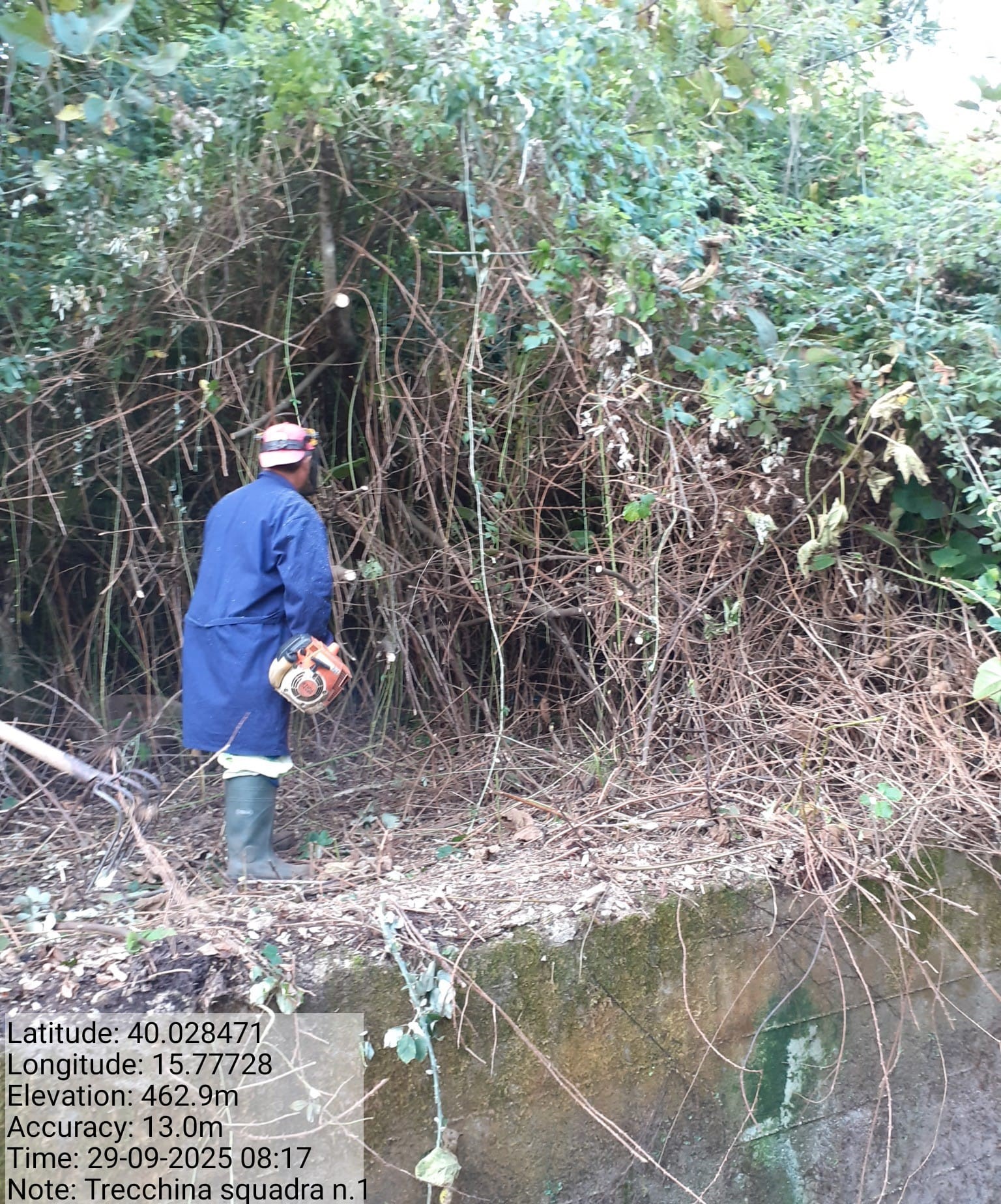 Galleria Fotografica Immagine