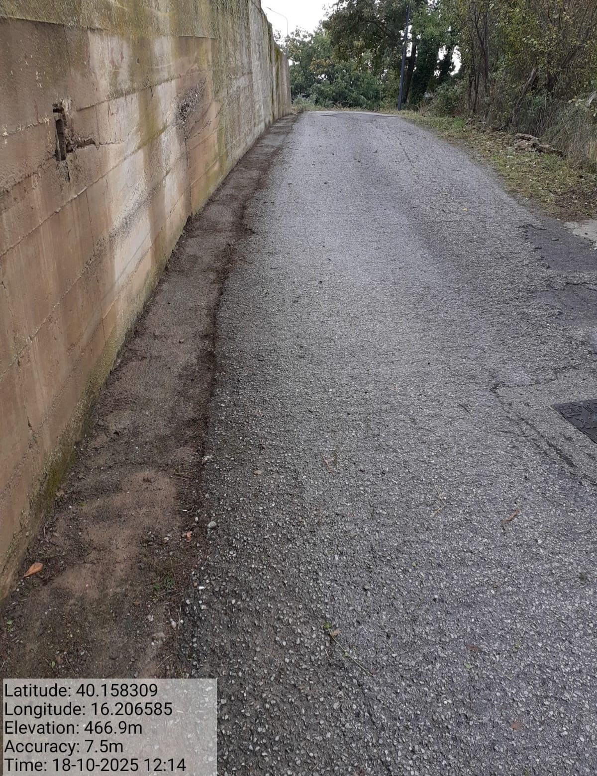 Galleria Fotografica Immagine