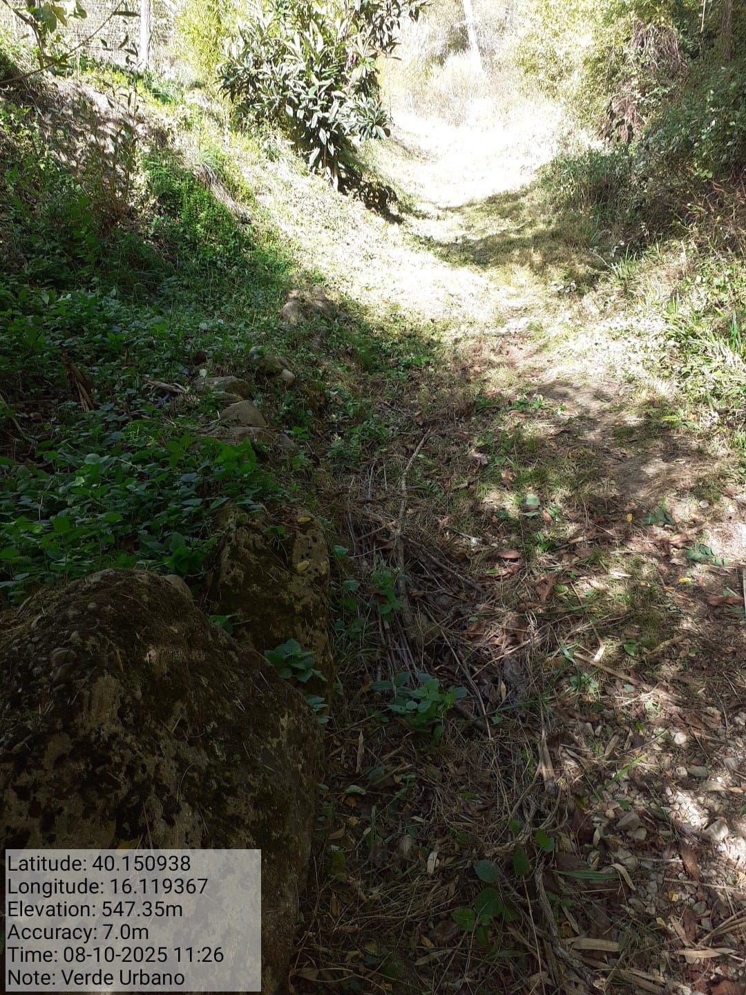 Galleria Fotografica Immagine