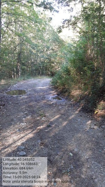 Galleria Fotografica Immagine