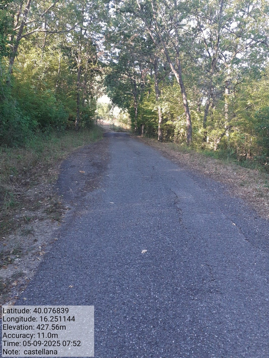 Galleria Fotografica Immagine