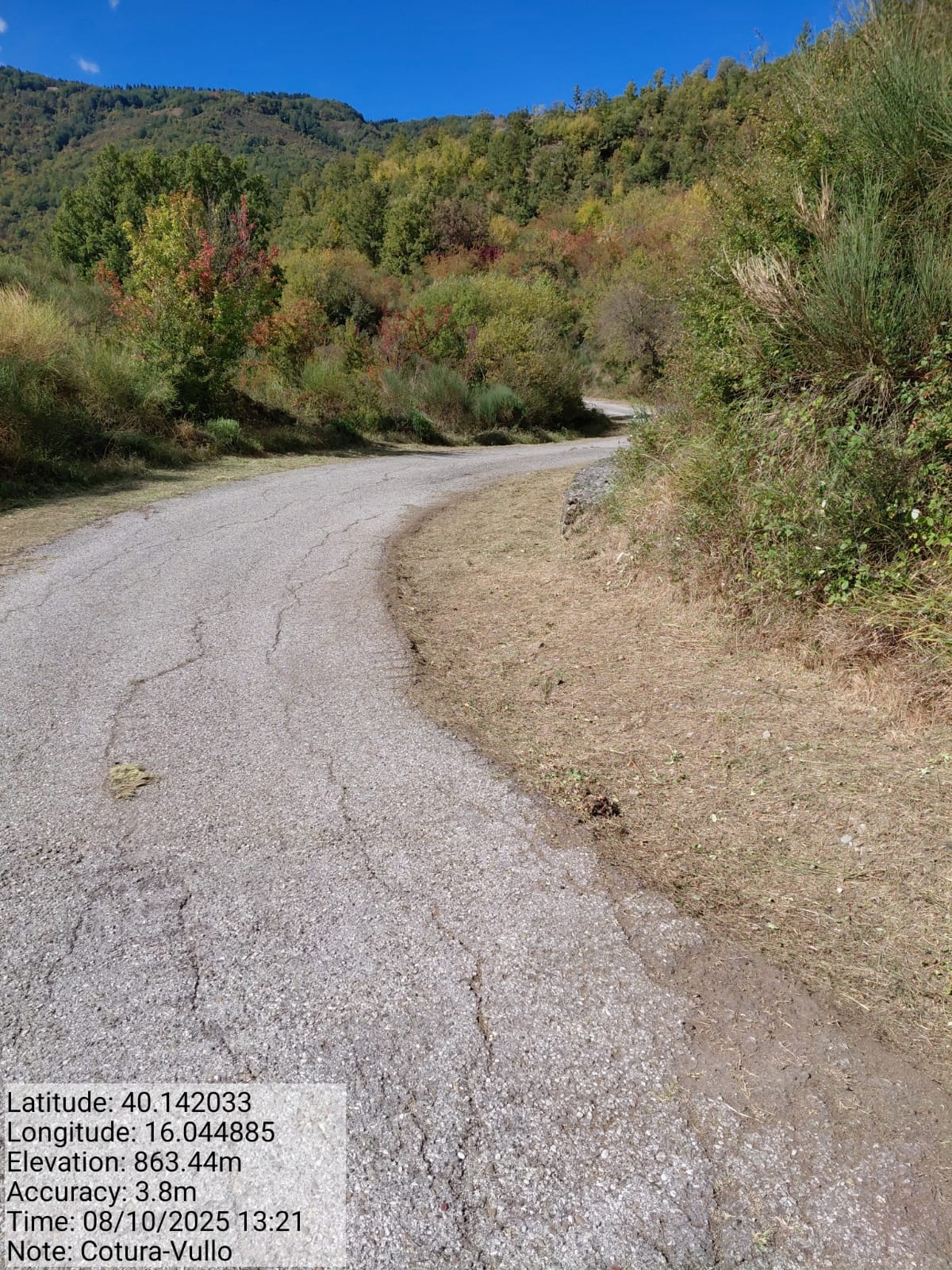 Galleria Fotografica Immagine