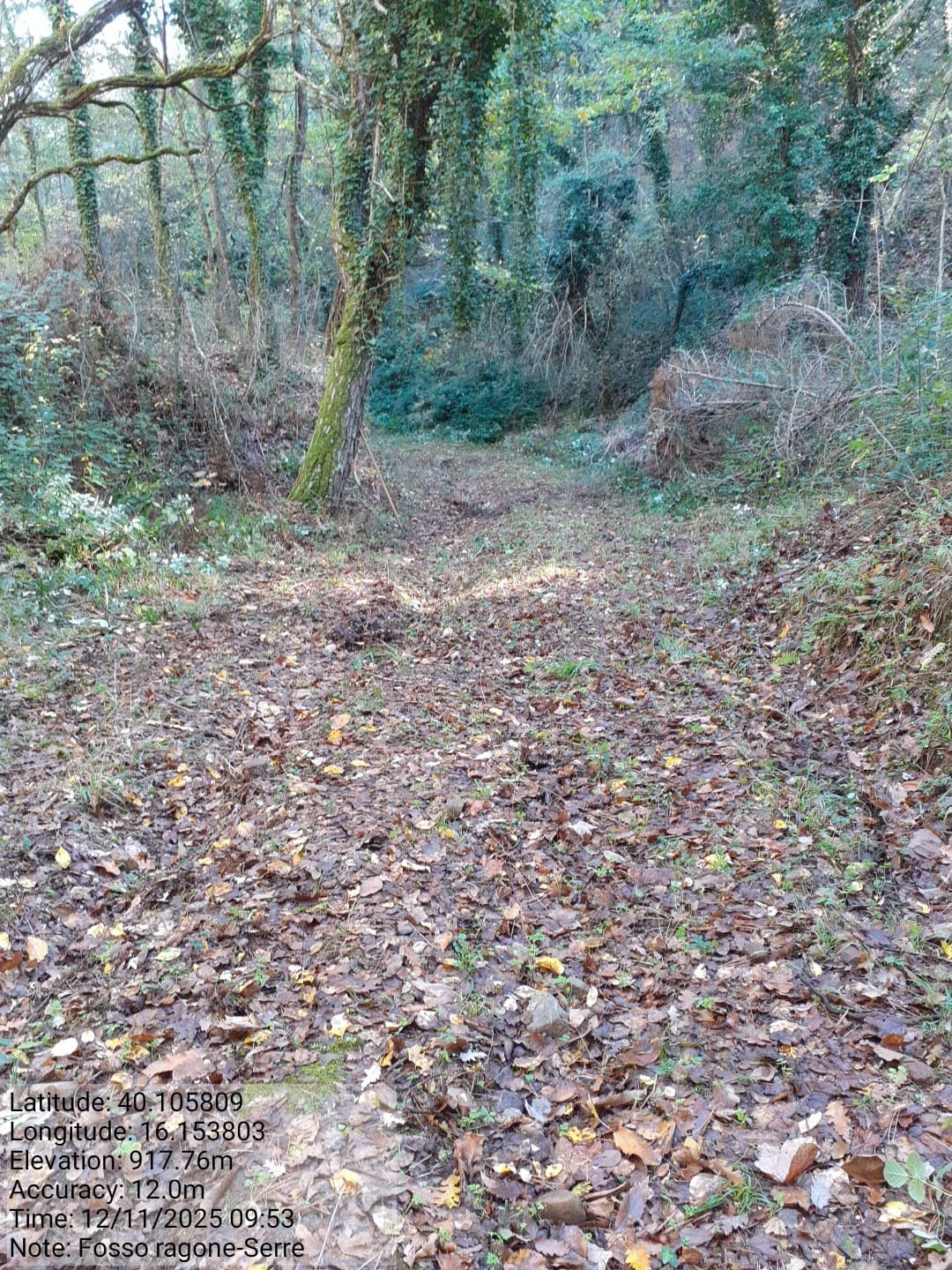 Galleria Fotografica Immagine