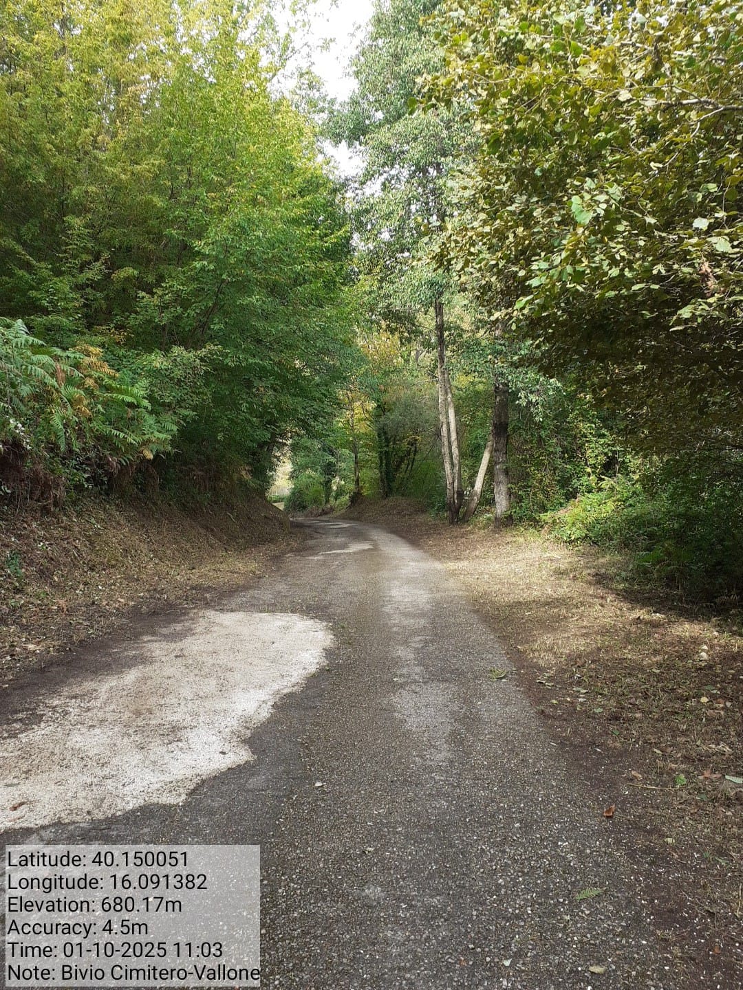 Galleria Fotografica Immagine