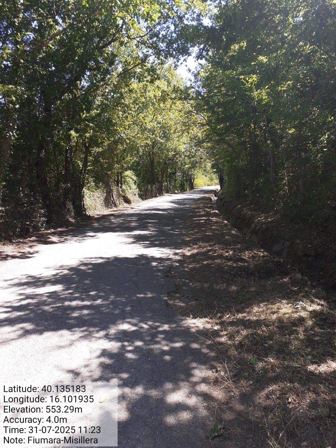 Galleria Fotografica Immagine