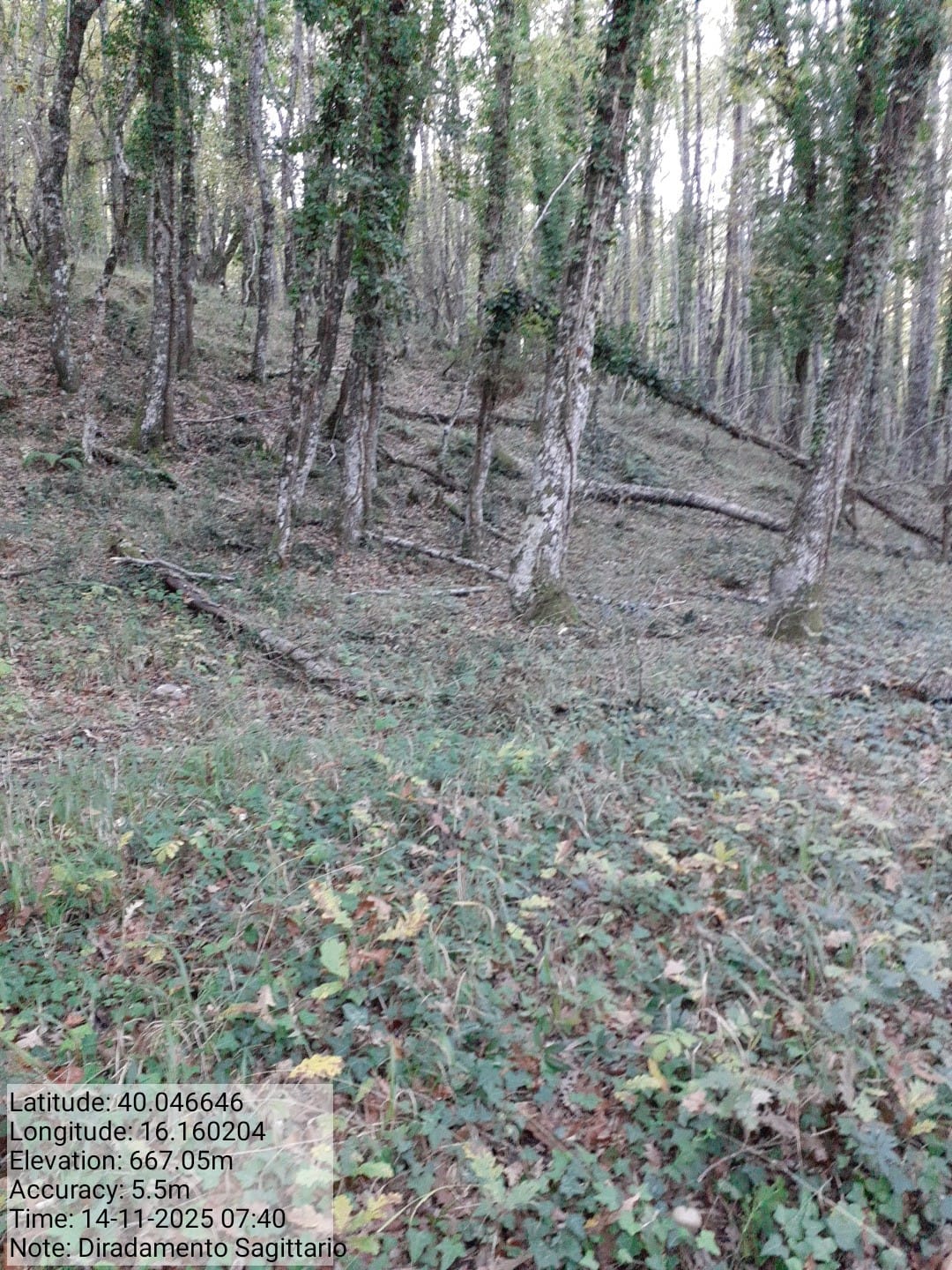 Galleria Fotografica Immagine