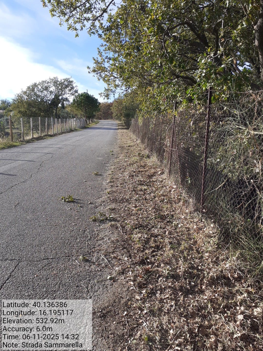 Galleria Fotografica Immagine