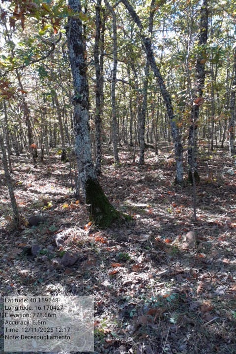 Galleria Fotografica Immagine