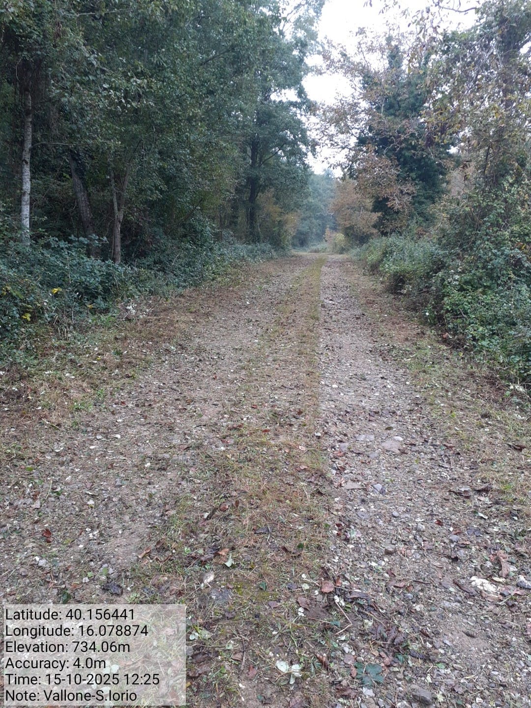 Galleria Fotografica Immagine