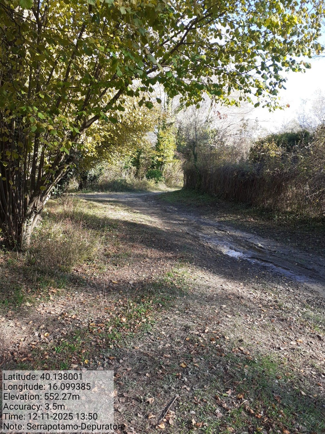 Galleria Fotografica Immagine