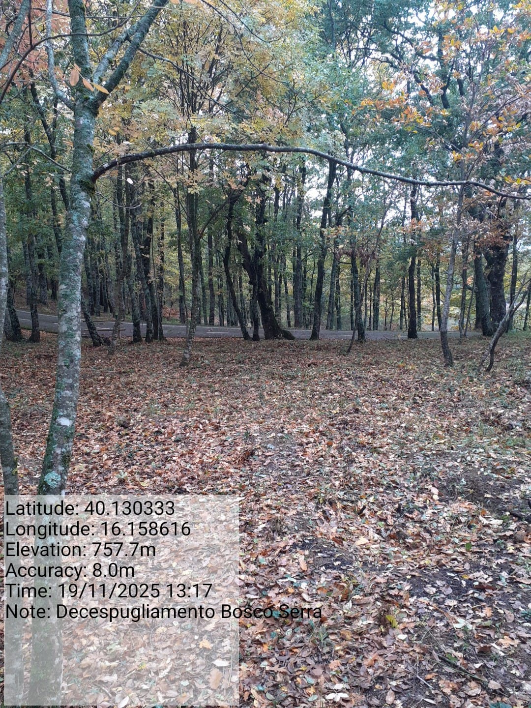 Galleria Fotografica Immagine