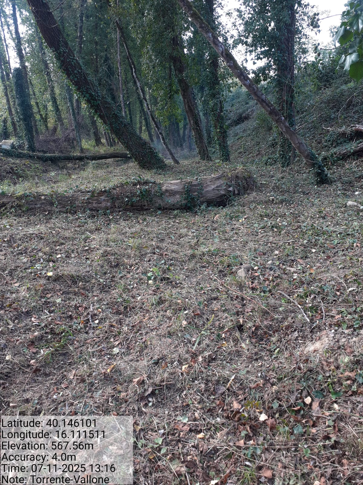 Galleria Fotografica Immagine