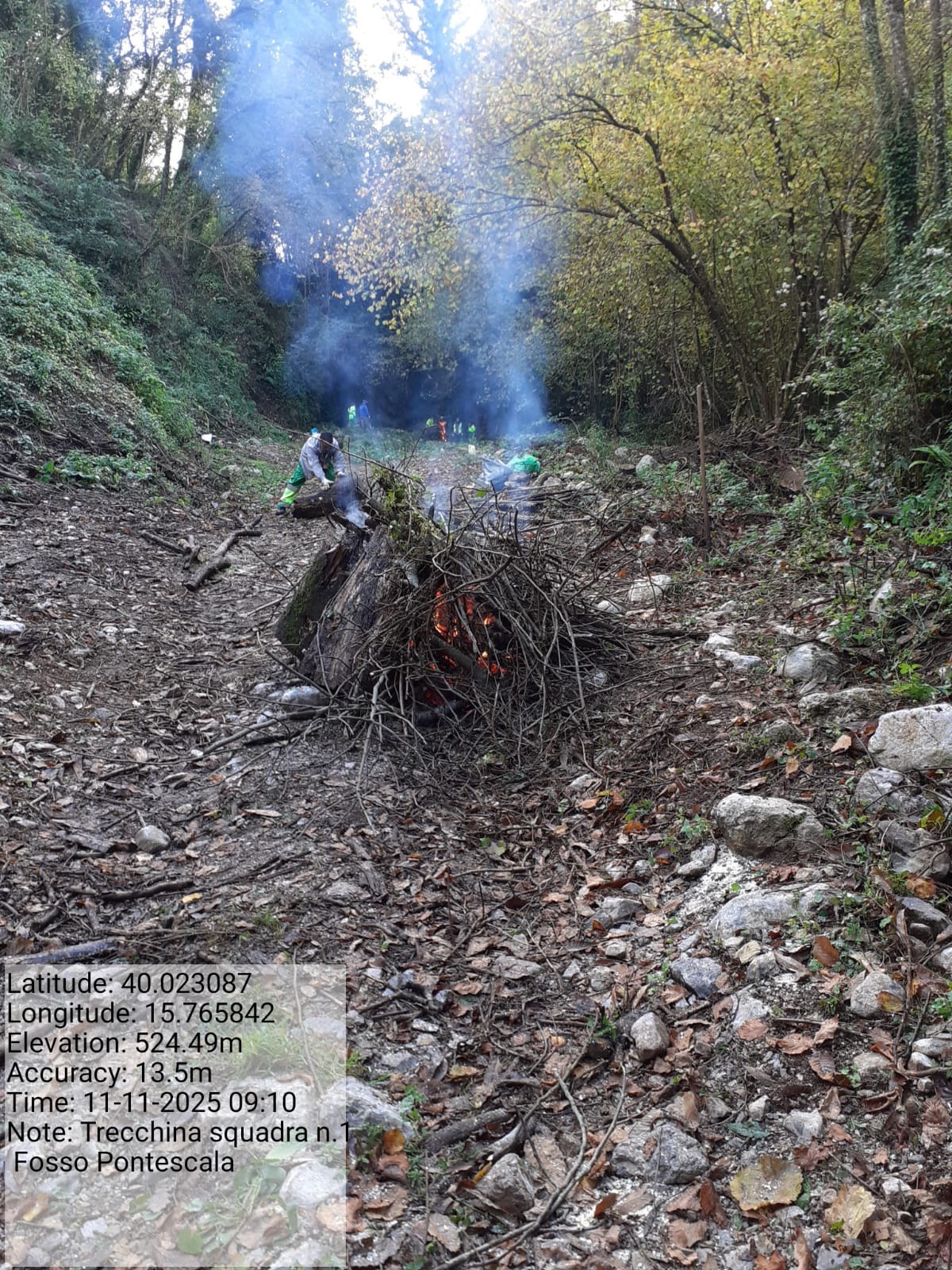 Galleria Fotografica Immagine