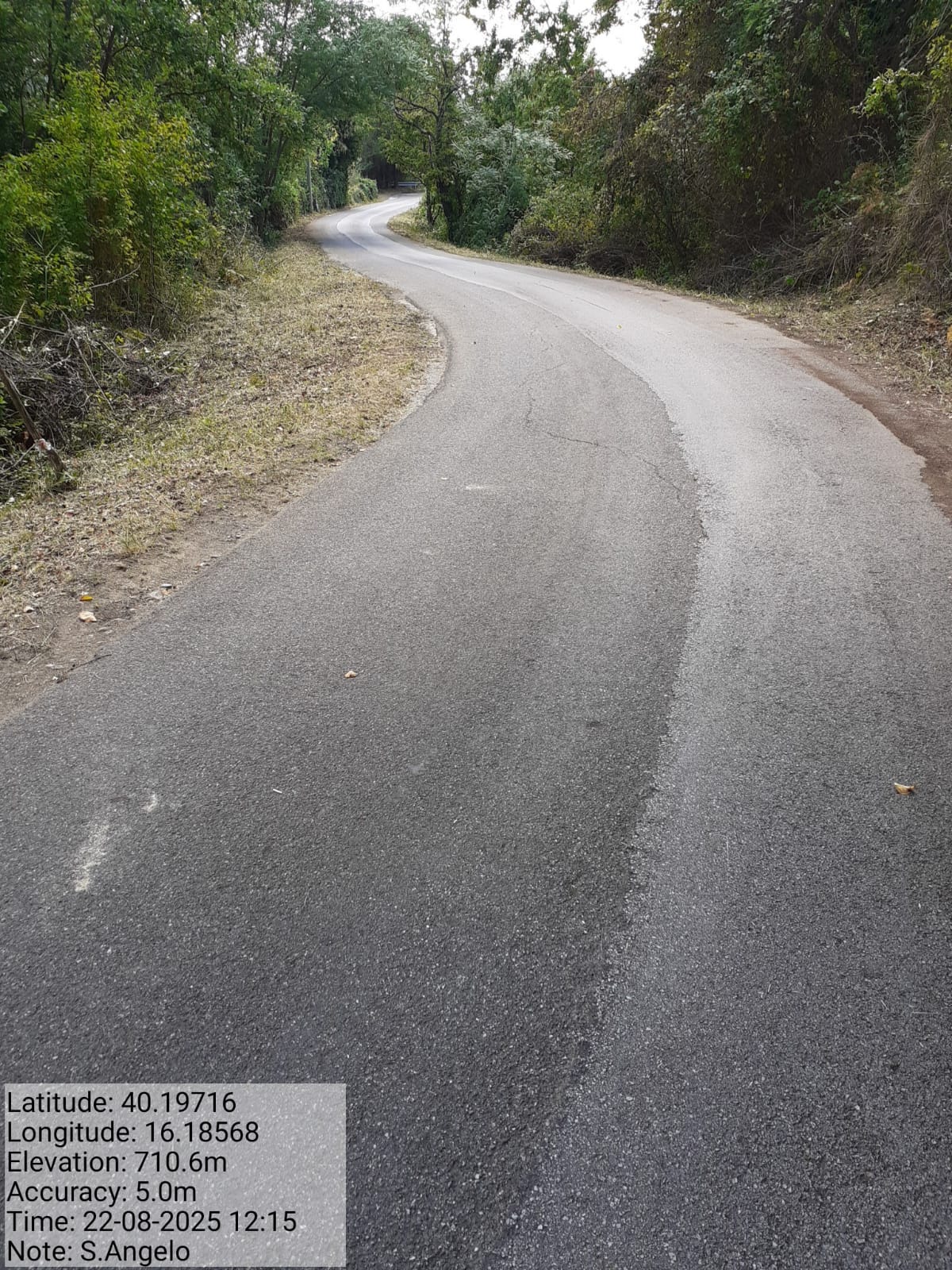 Galleria Fotografica Immagine