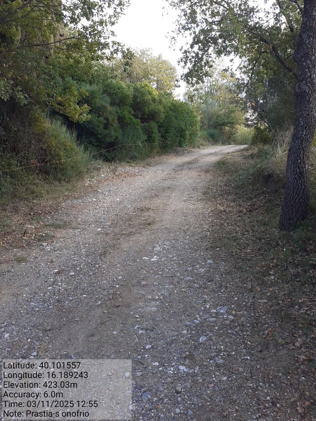 Galleria Fotografica Immagine