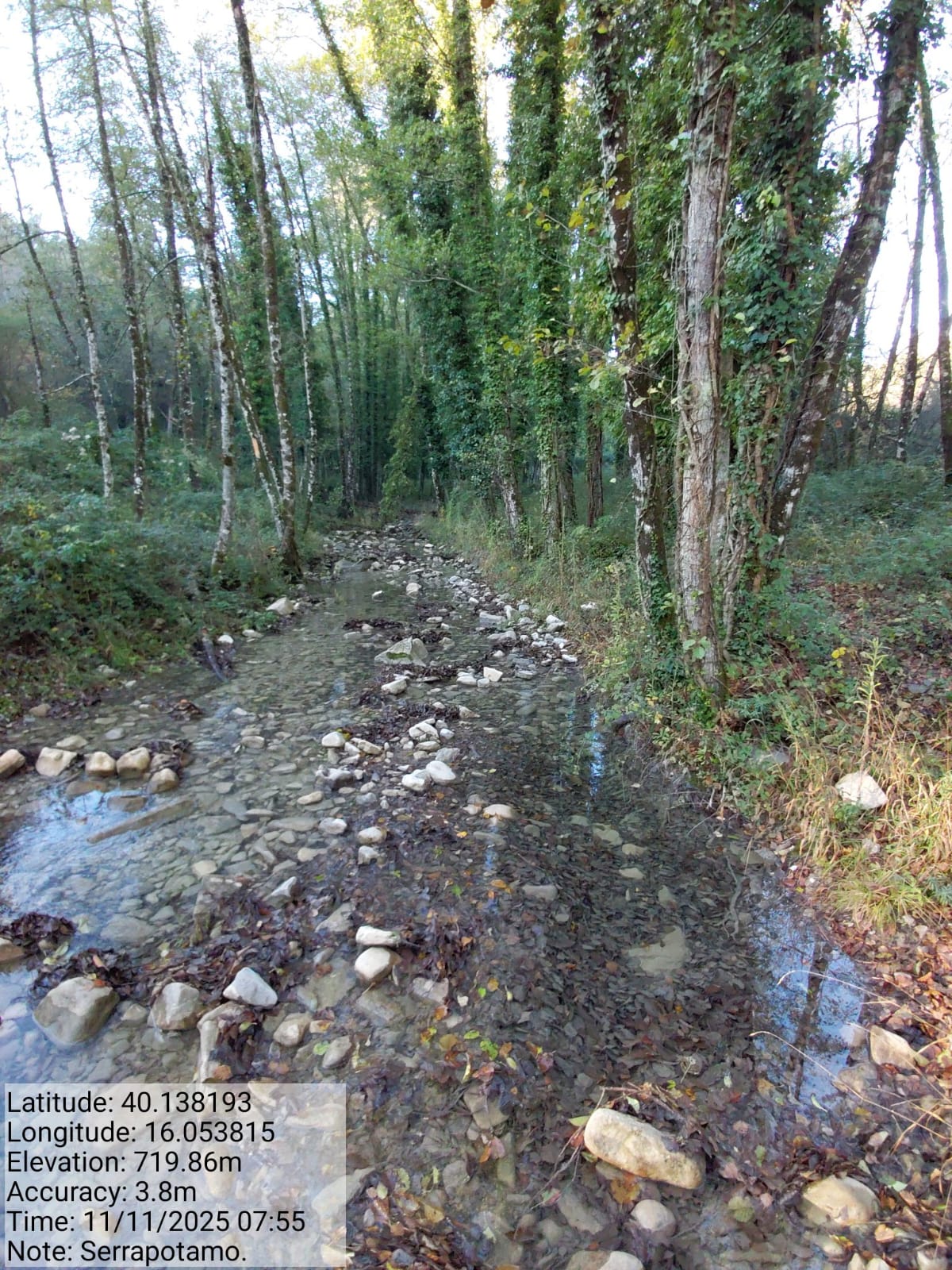 Galleria Fotografica Immagine