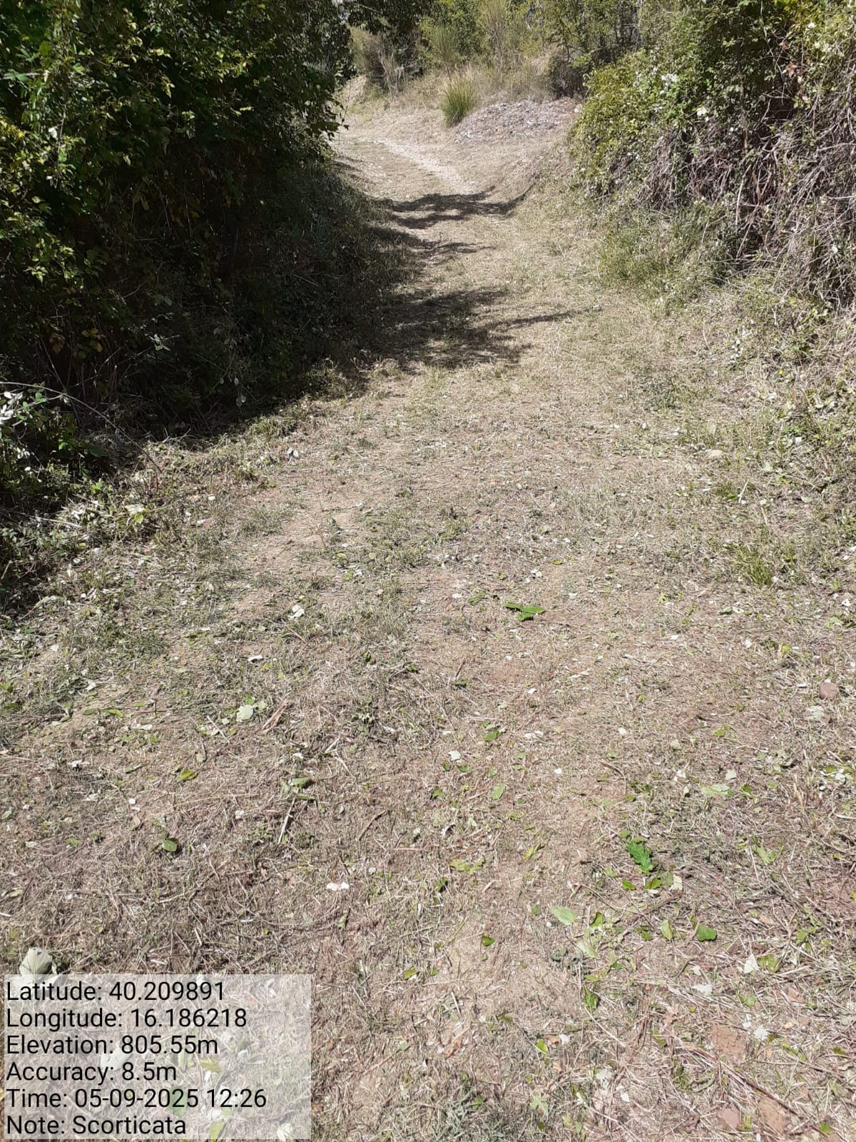 Galleria Fotografica Immagine