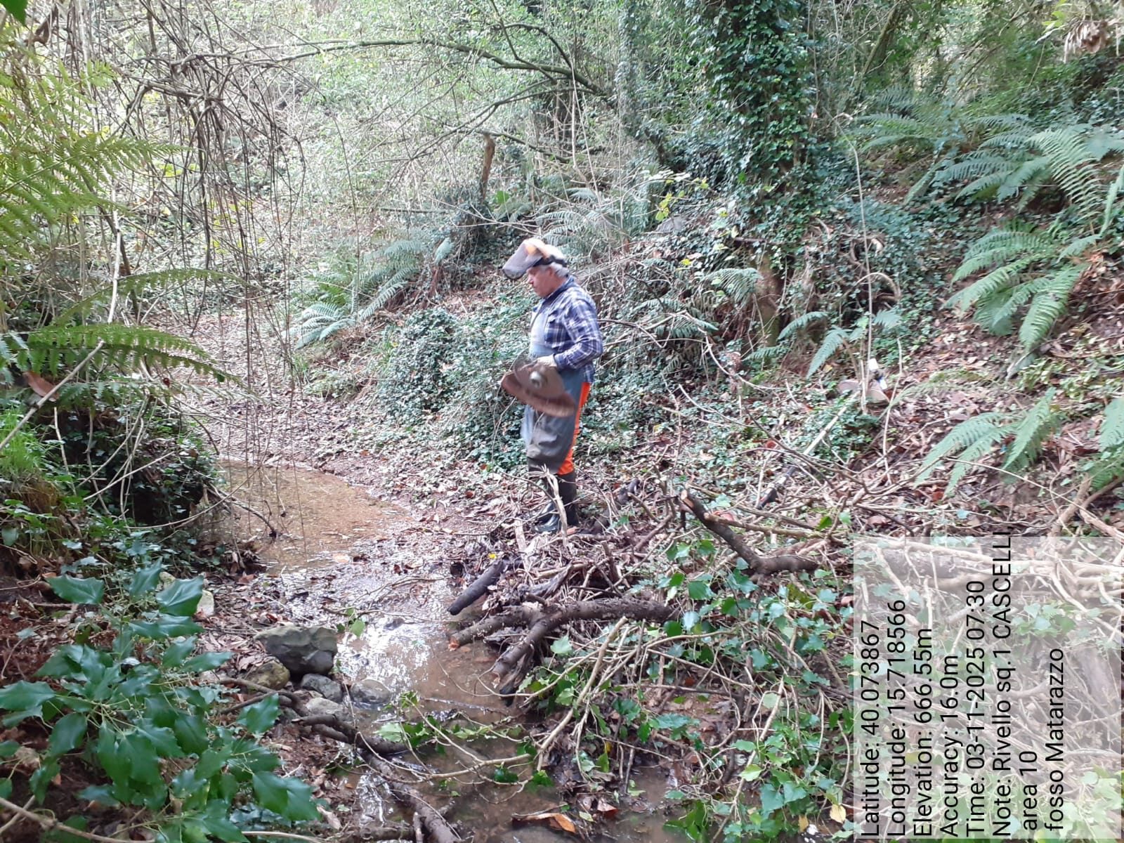 Galleria Fotografica Immagine