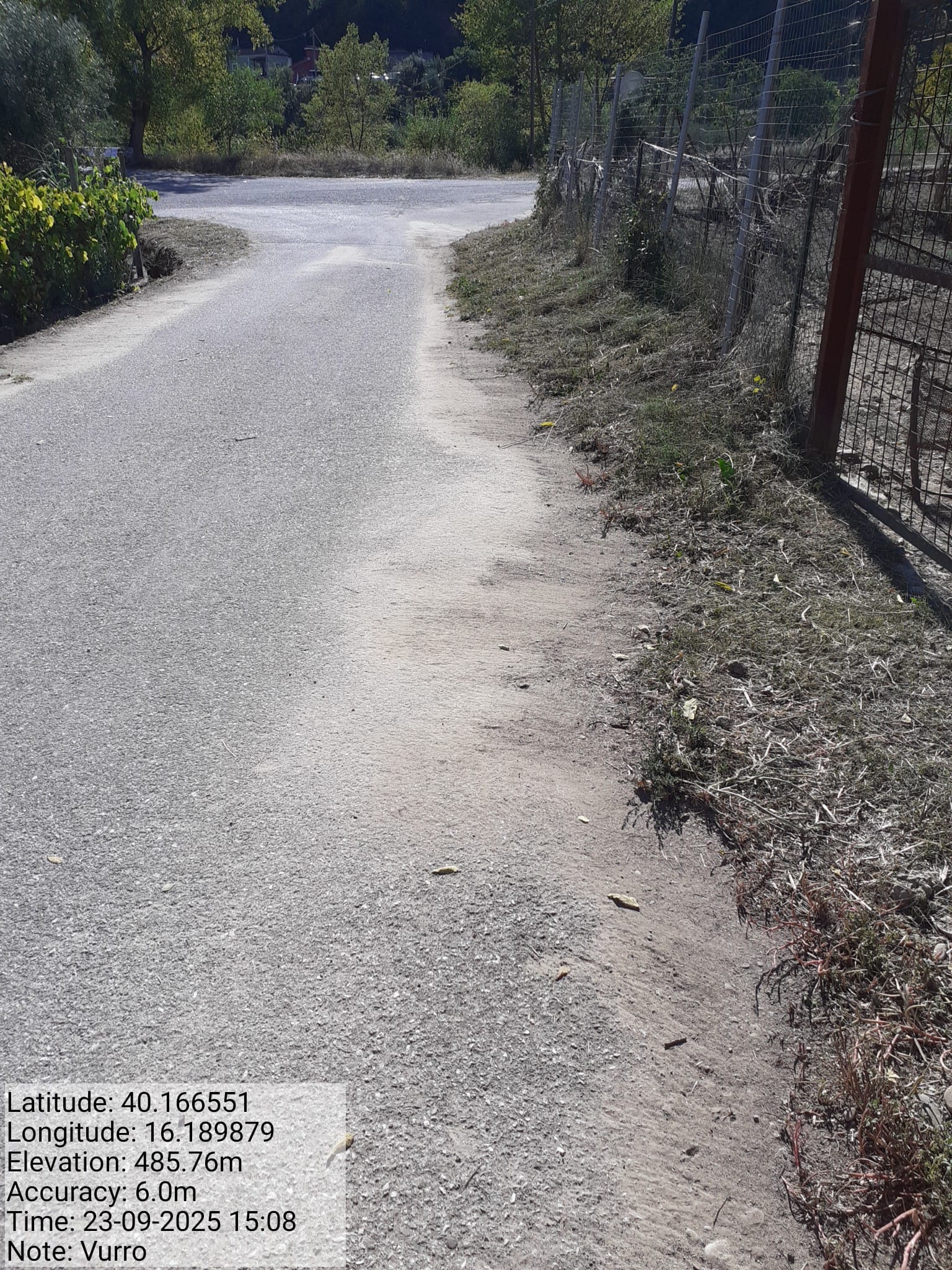 Galleria Fotografica Immagine