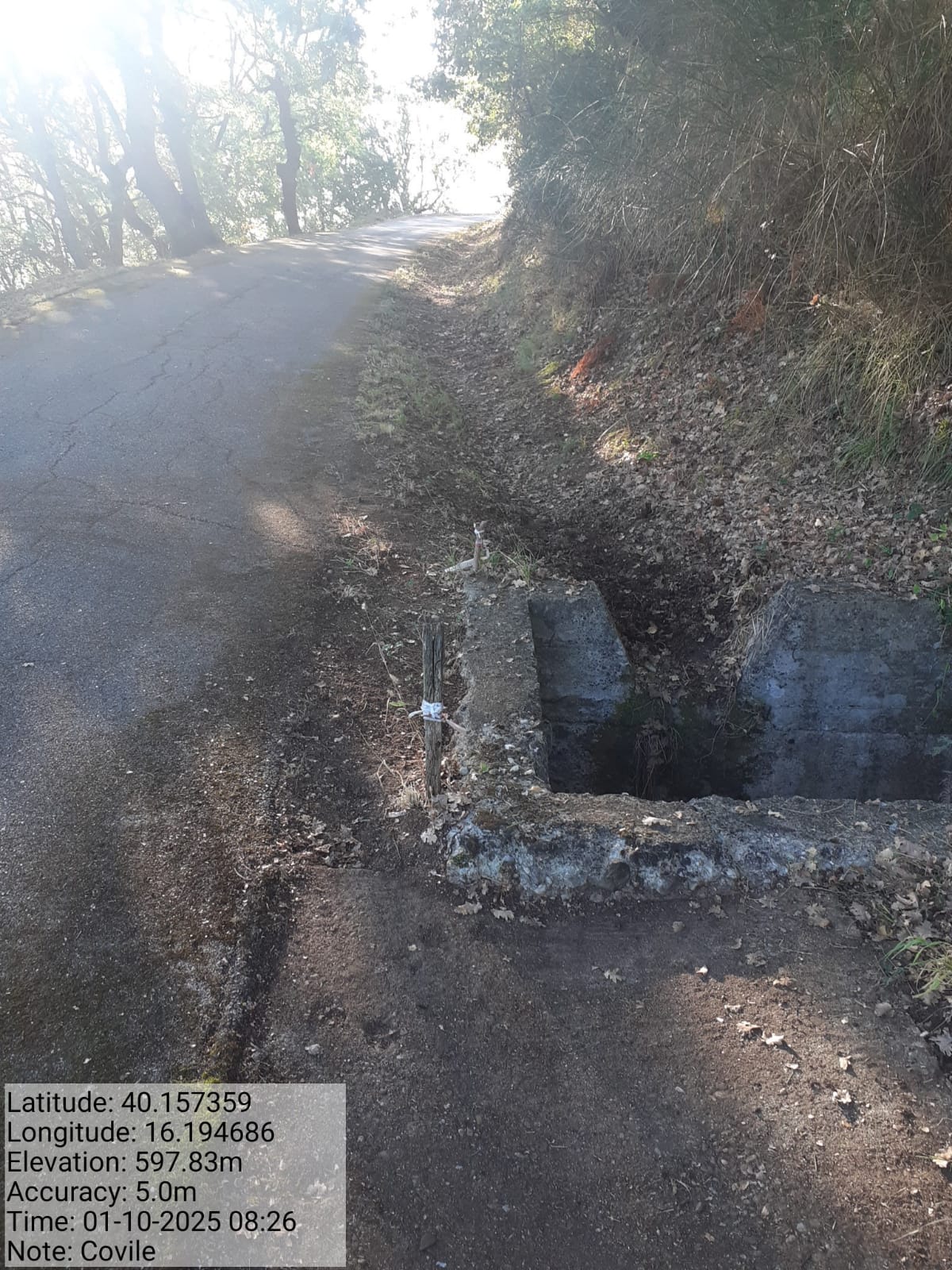 Galleria Fotografica Immagine