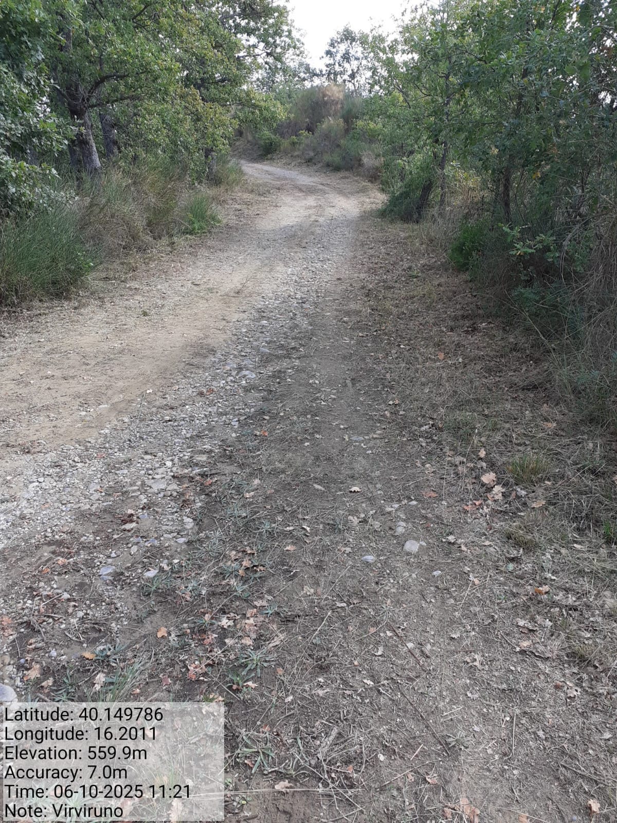 Galleria Fotografica Immagine