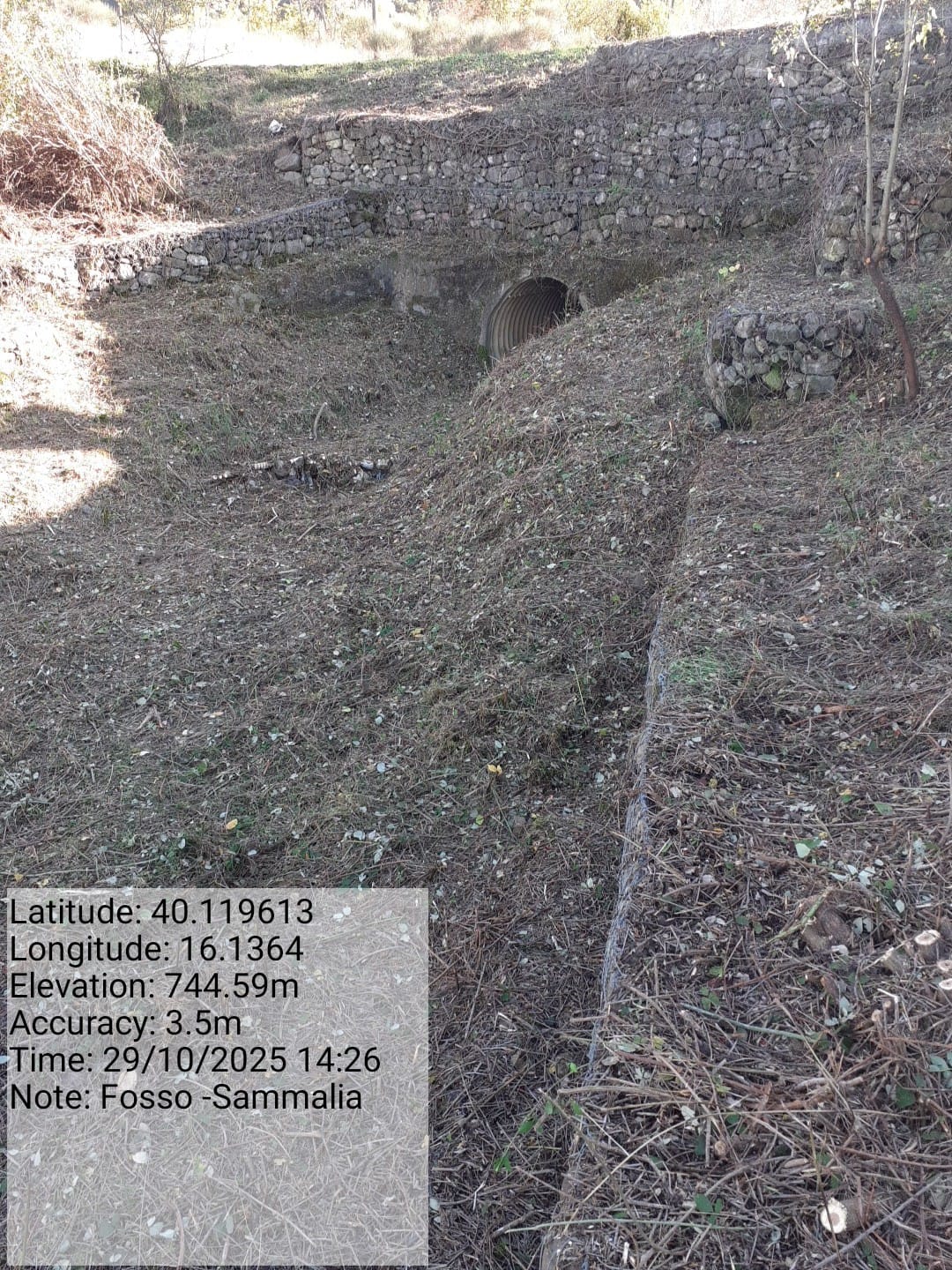 Galleria Fotografica Immagine