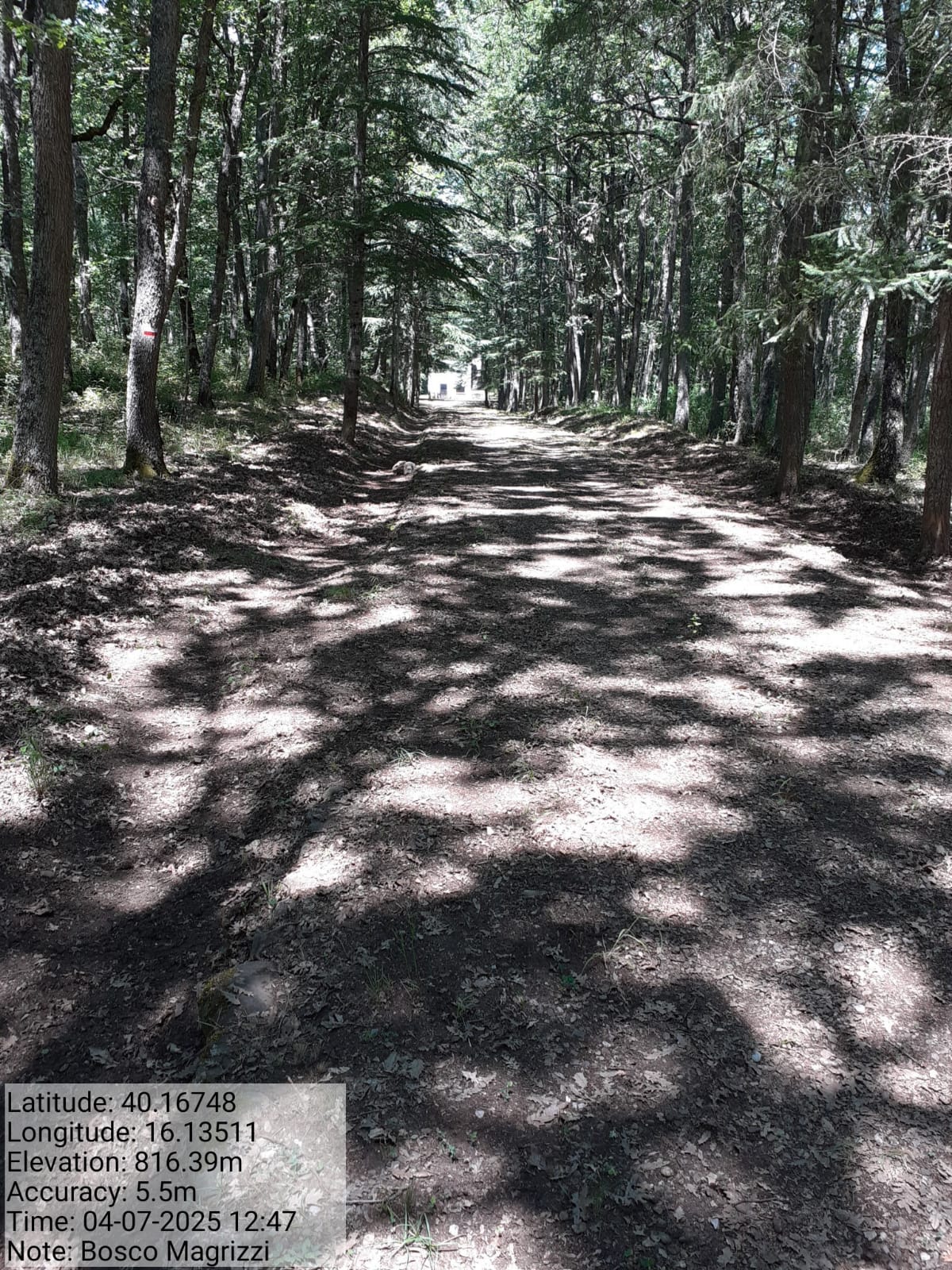 Galleria Fotografica Immagine