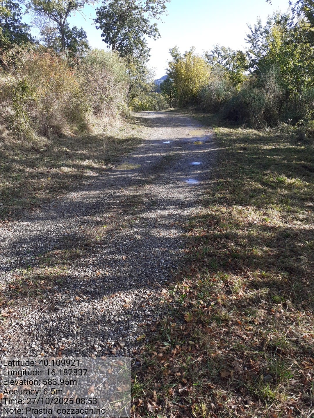 Galleria Fotografica Immagine