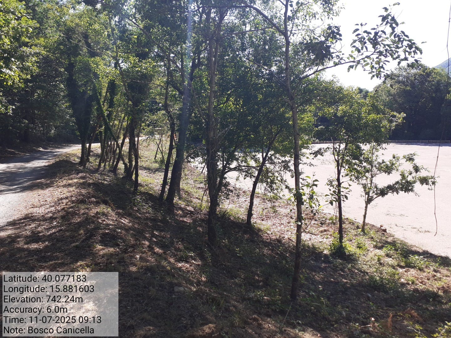 Galleria Fotografica Immagine