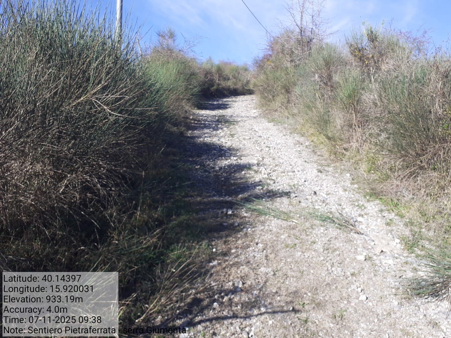 Galleria Fotografica Immagine