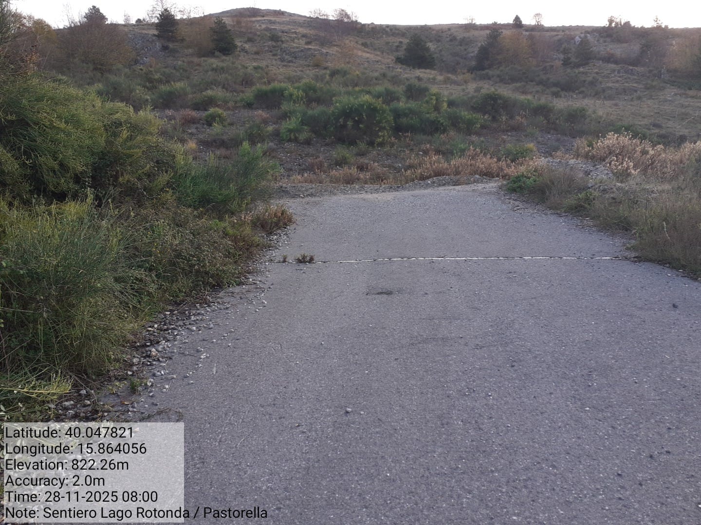 Galleria Fotografica Immagine