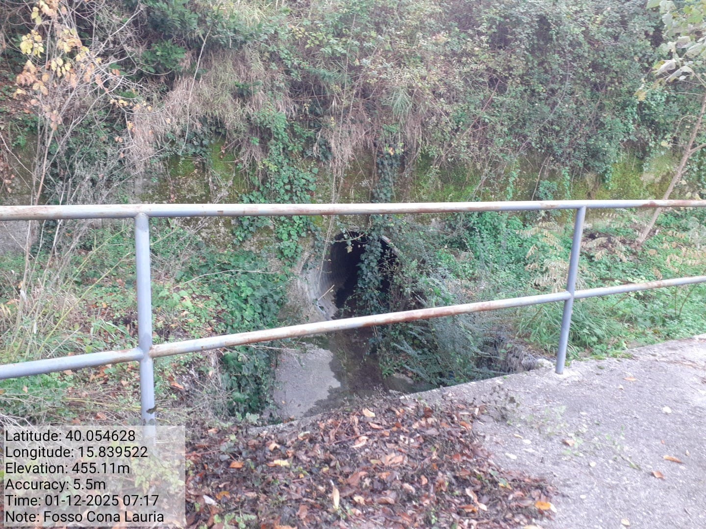 Galleria Fotografica Immagine