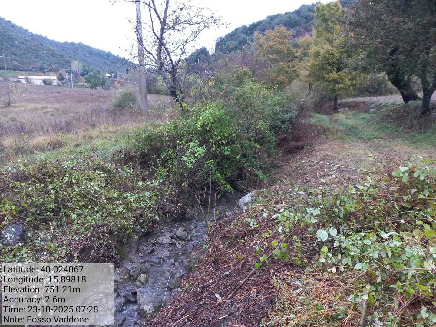 Galleria Fotografica Immagine