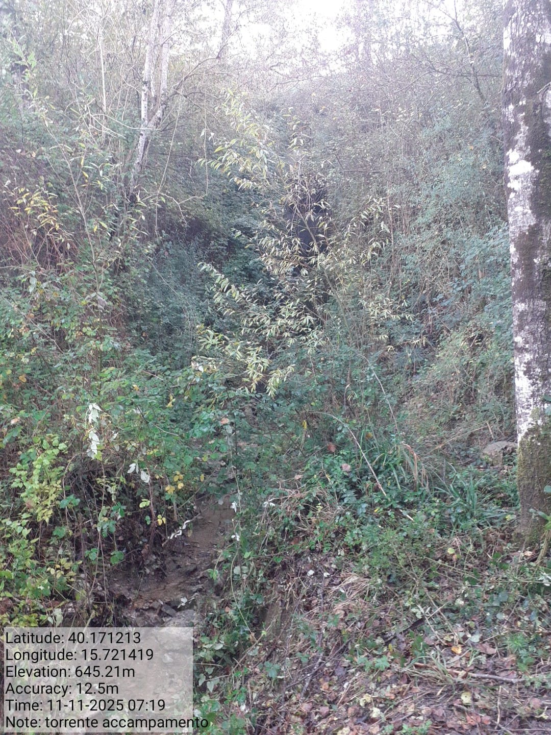 Galleria Fotografica Immagine