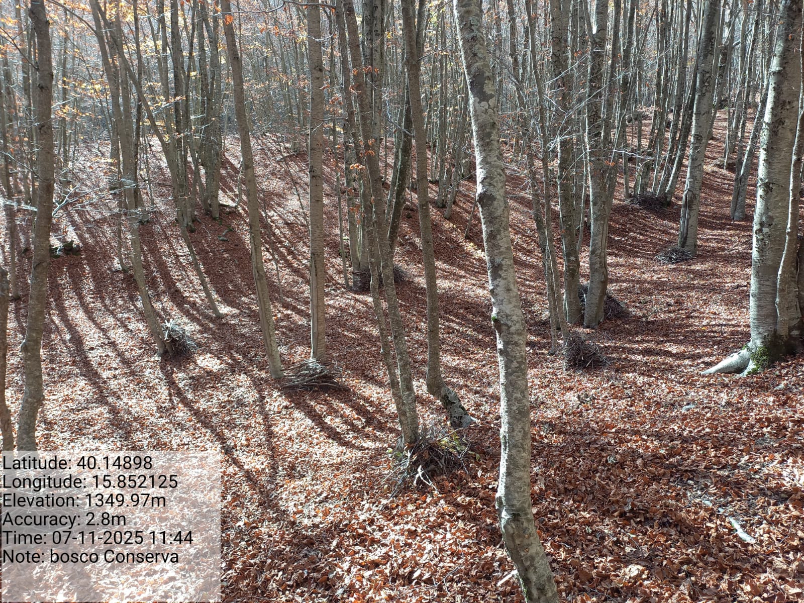 Galleria Fotografica Immagine