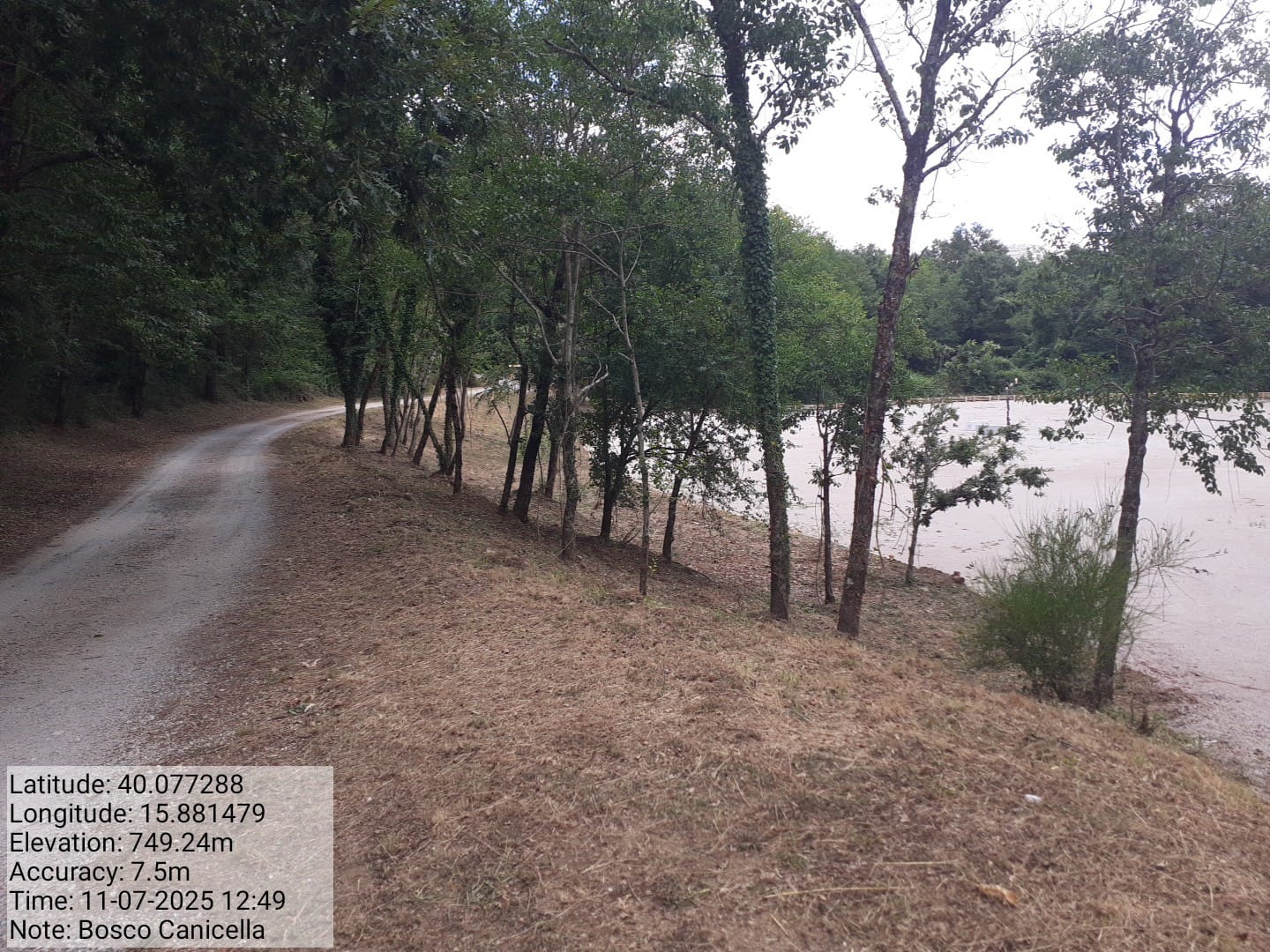 Galleria Fotografica Immagine