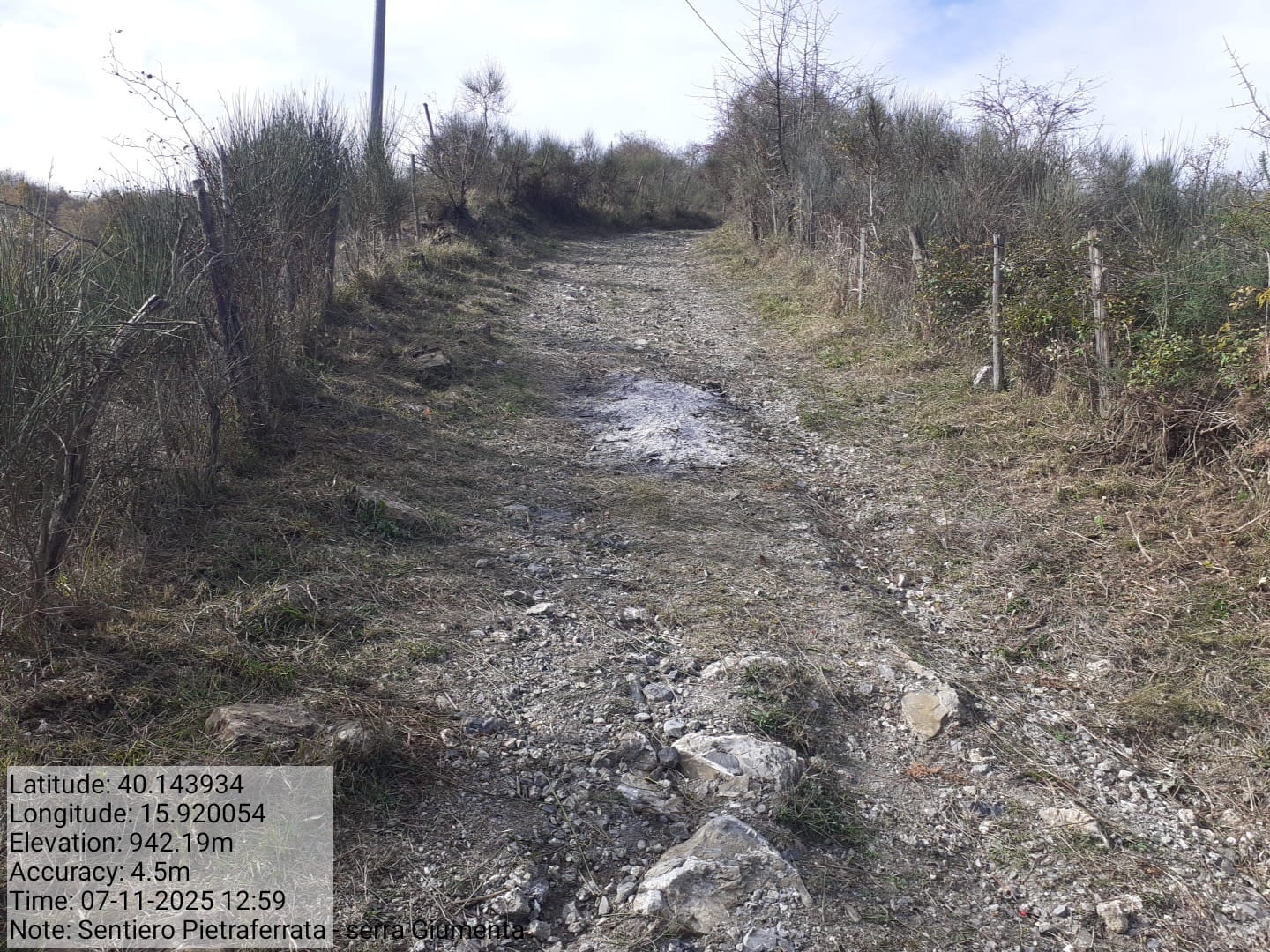 Galleria Fotografica Immagine