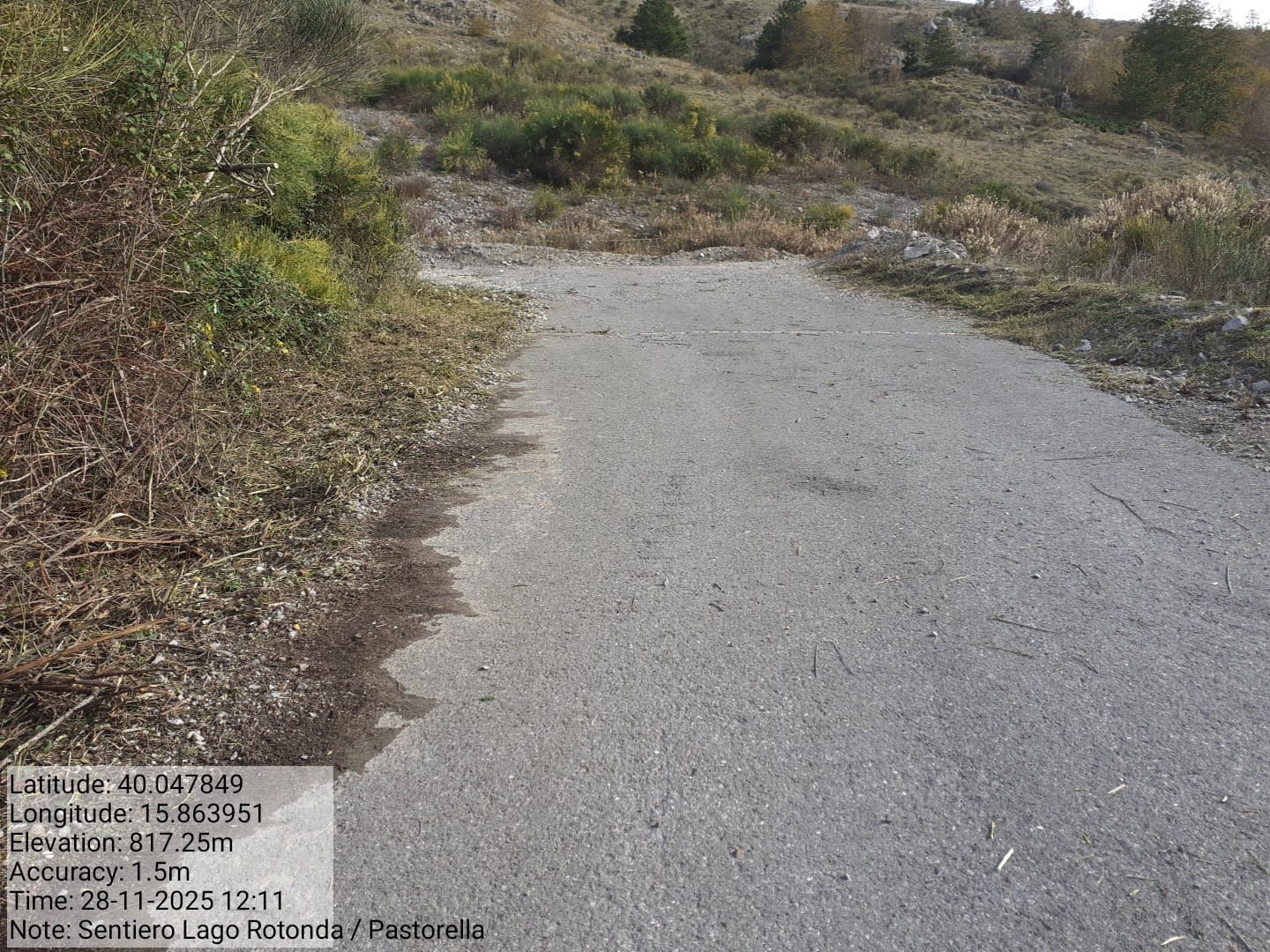 Galleria Fotografica Immagine