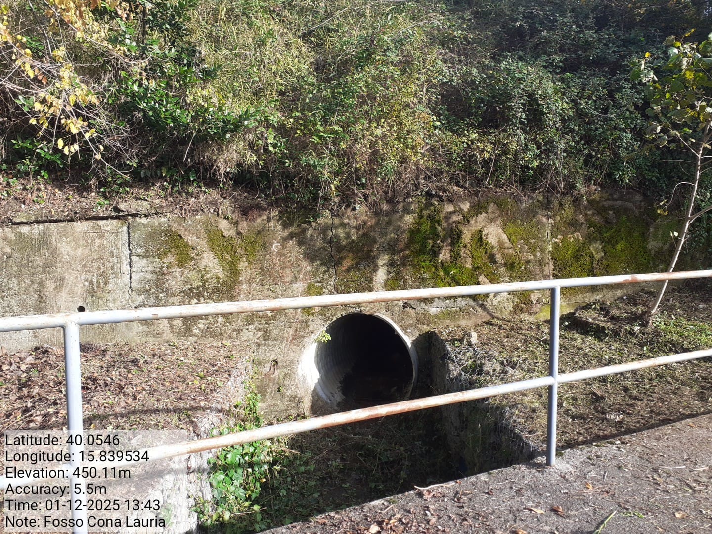 Galleria Fotografica Immagine