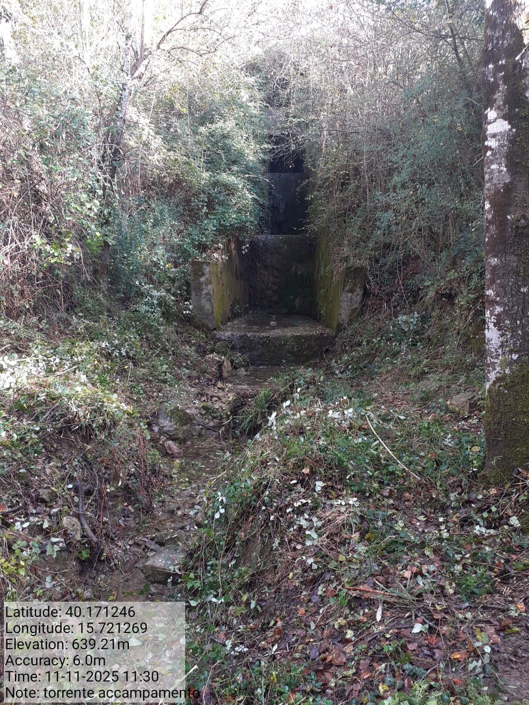 Galleria Fotografica Immagine