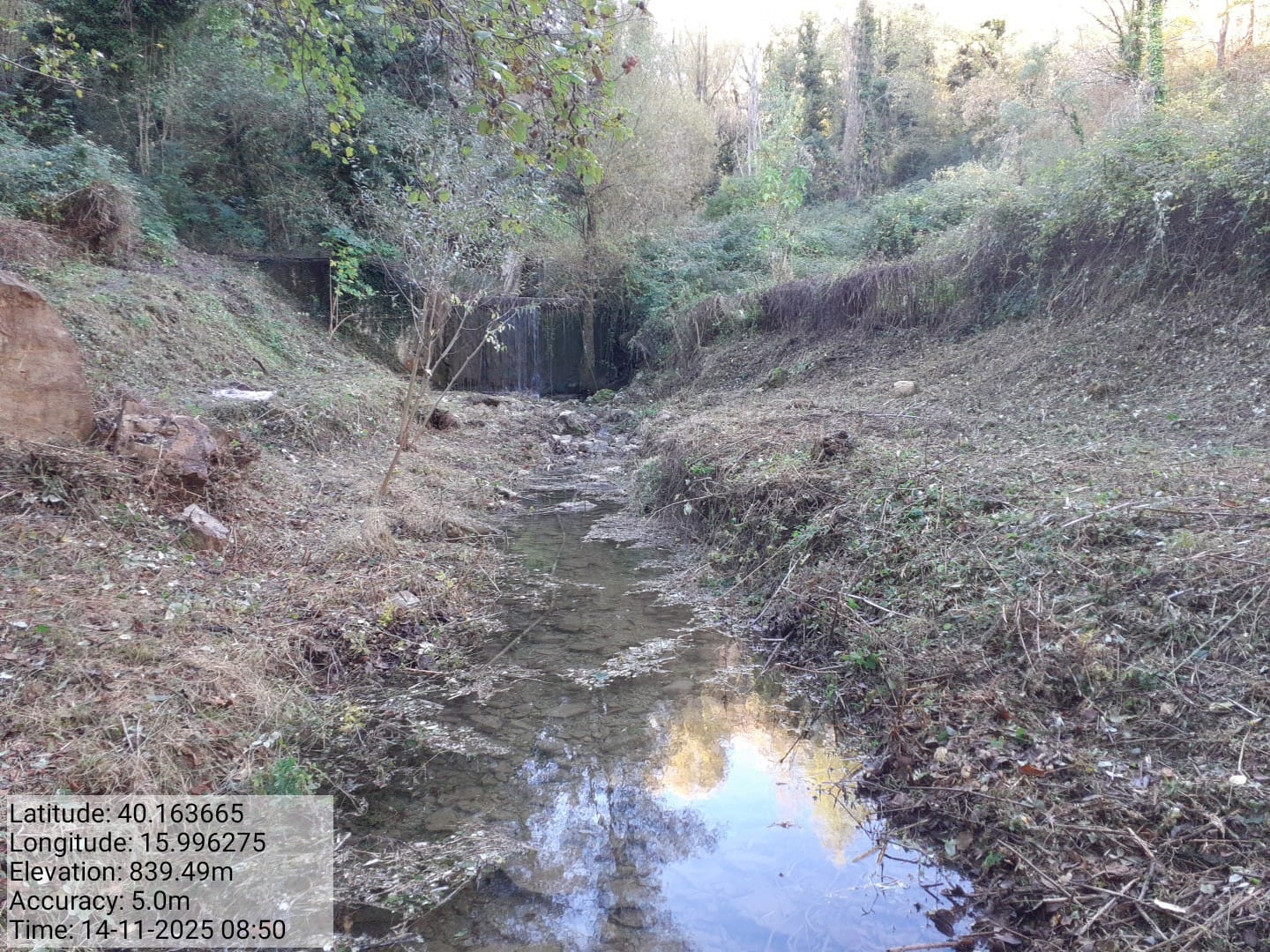 Galleria Fotografica Immagine