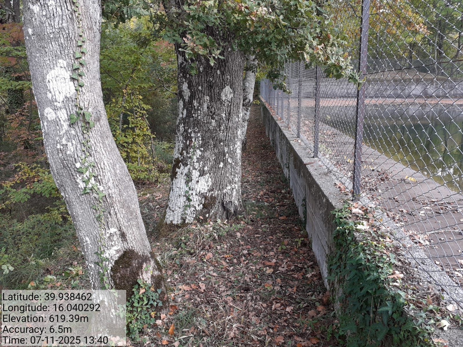 Galleria Fotografica Immagine