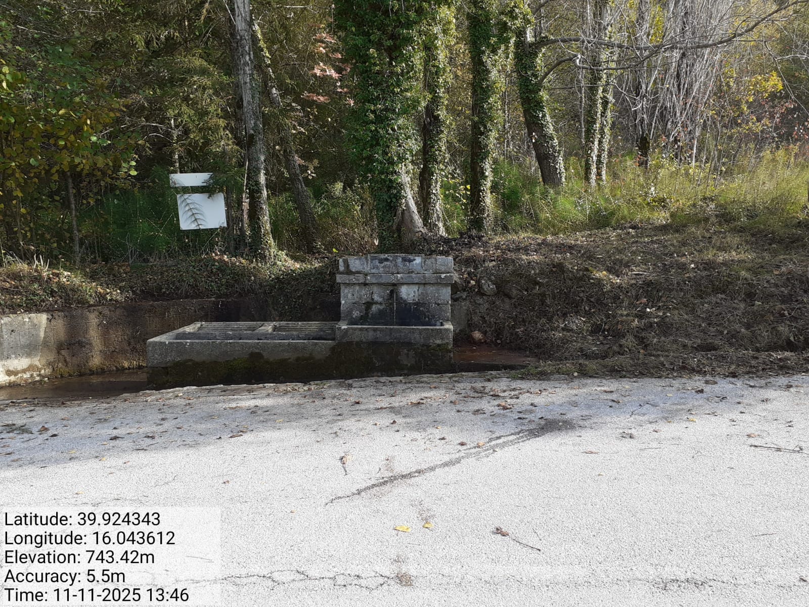 Galleria Fotografica Immagine