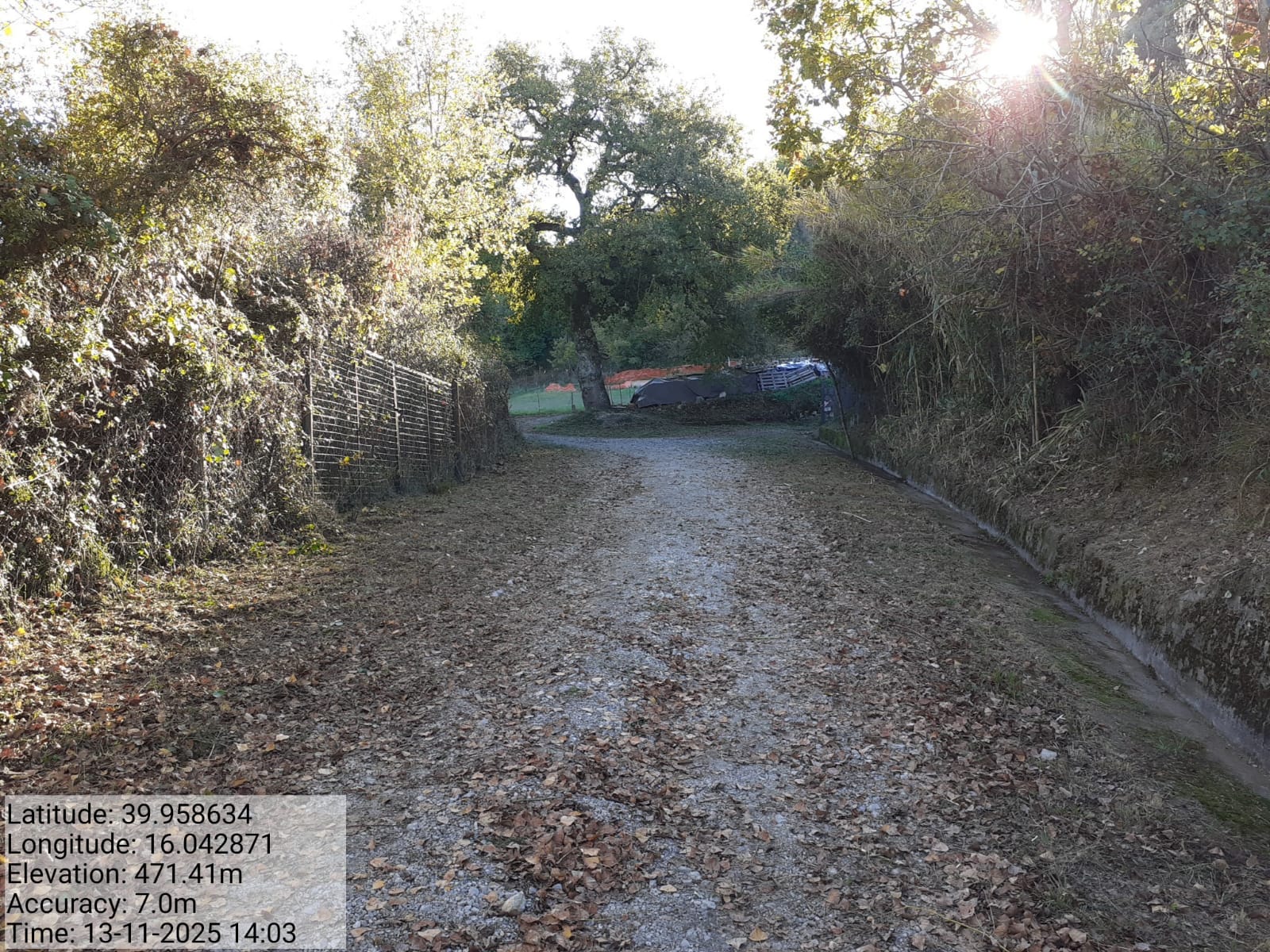 Galleria Fotografica Immagine