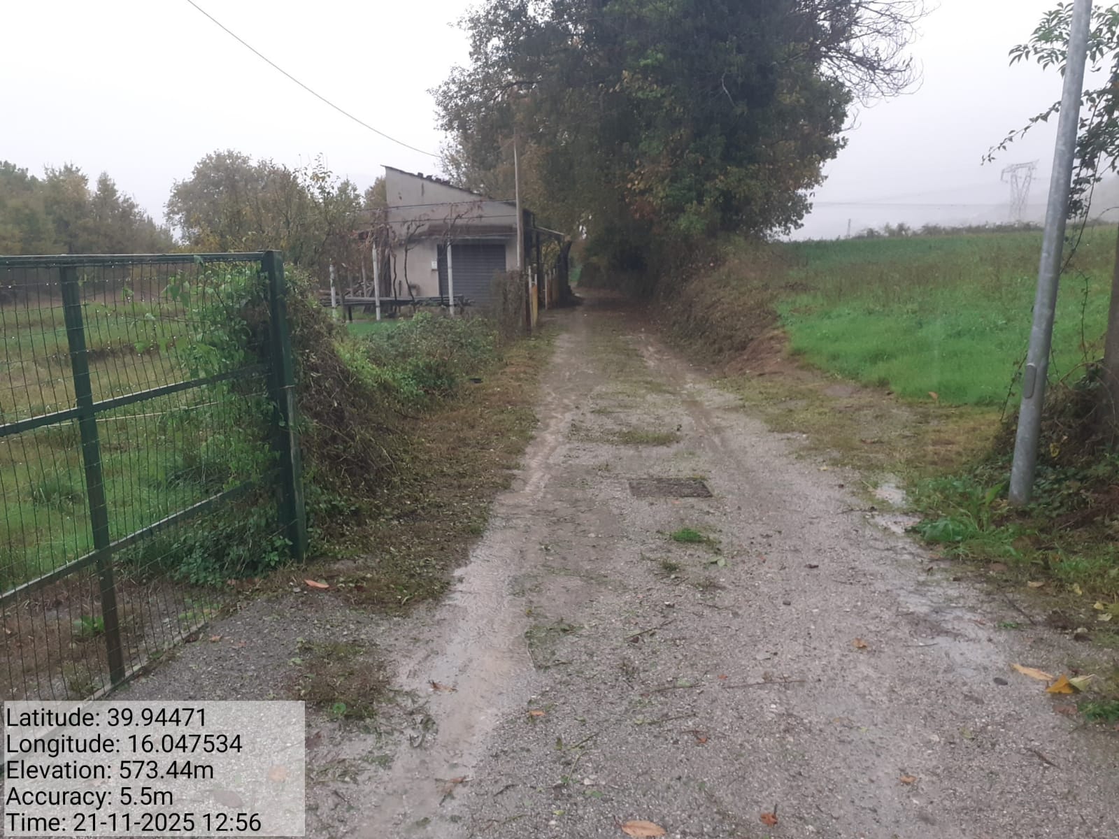 Galleria Fotografica Immagine