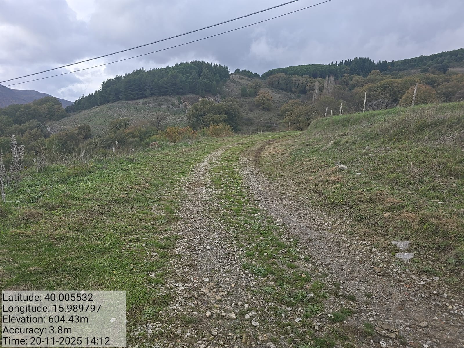 Galleria Fotografica Immagine